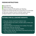 Life Aayu Tropical Loaches Aquarium Fish Food | Immunity Boost, High Protein, Humic-Enriched Diet (45 GMS)