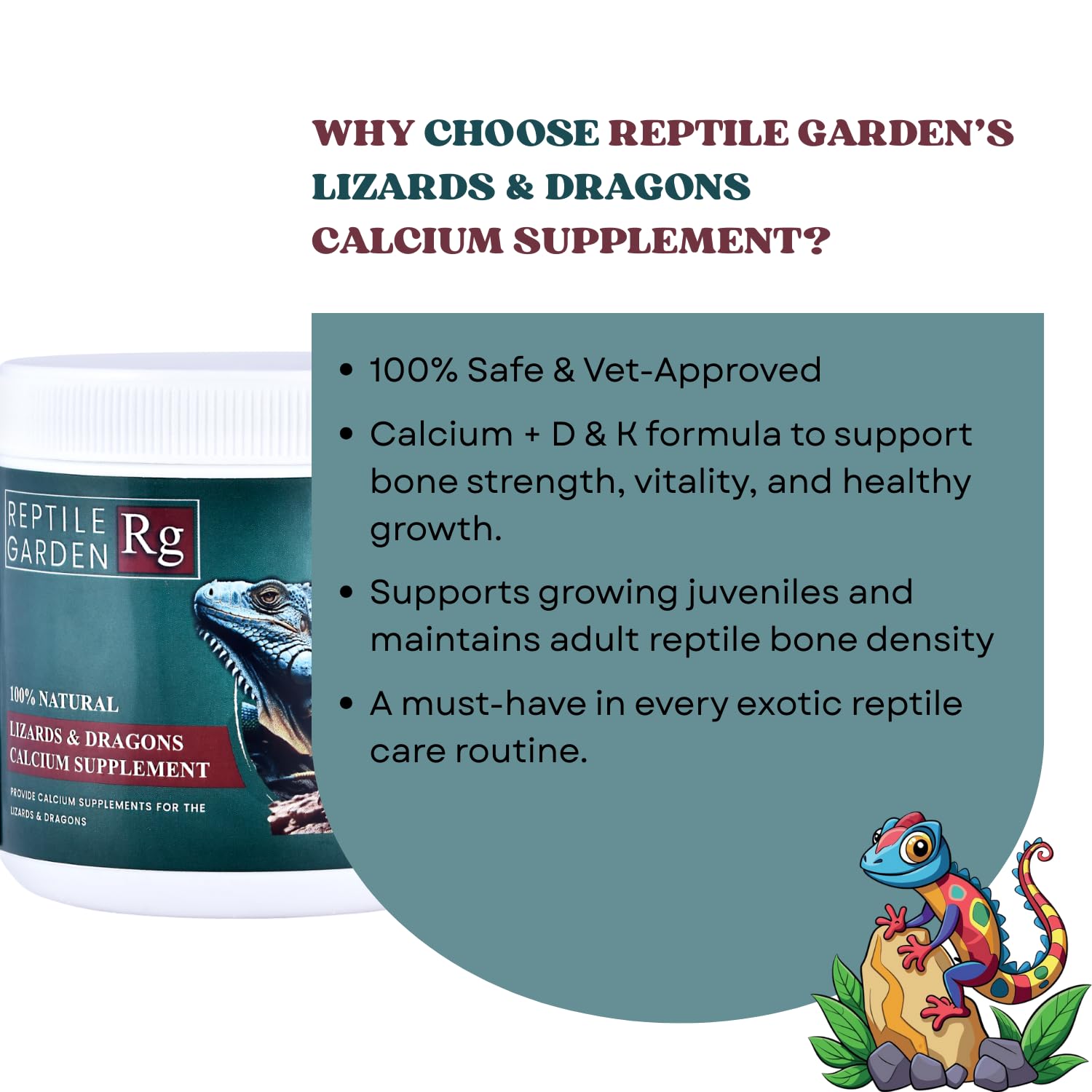 Reptile Garden Lizards & Dragons Calcium Supplement | Strong Bones, Strong Reptiles | 100% Safe & Vet-Approved (100 GMS)
