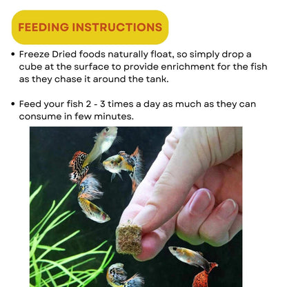 SF+ Tubifex Worms Fish Food | Freezed and Dried Worms for All Tropical Fishes | Originally from TUNAI Store (12gms, Dried Worms)