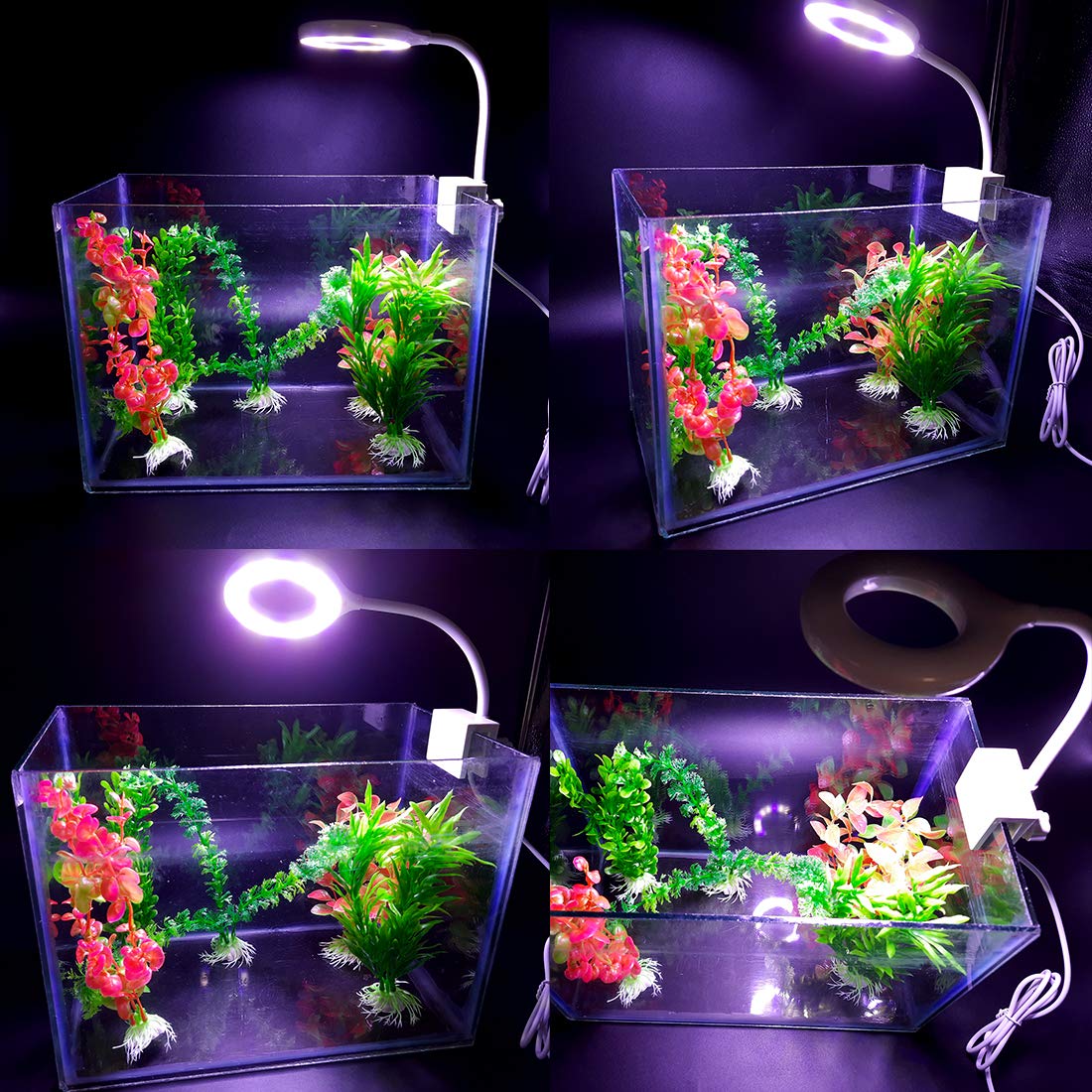 Rs Electrical Aquarium Fish Bowl Clip On Clamp Led Light Lamp For Small Fish Tanks Super Bright Blue White Led - 6.4W Energy Saving By Visual Arrest, Pack of 1