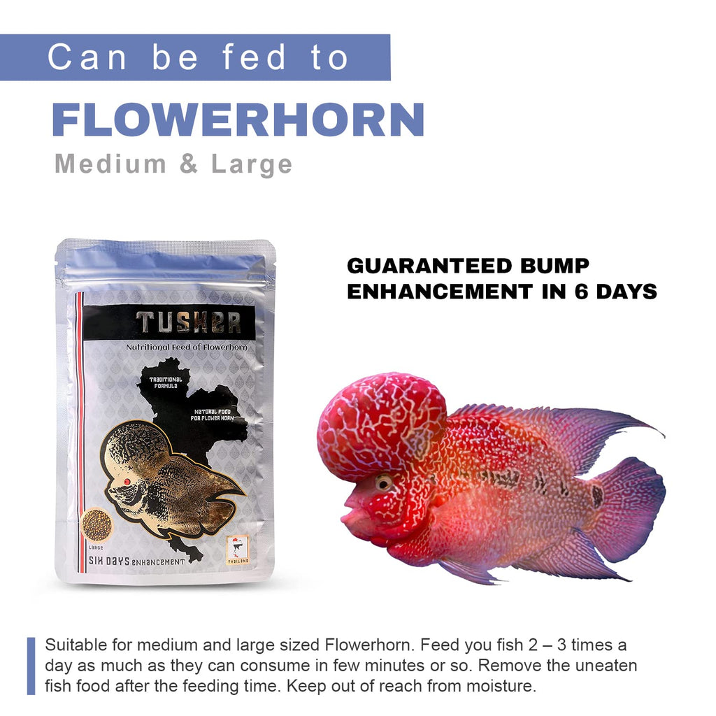 TUNAI SF+ Tusker Flowerhorn Special Fish Food | 100 G| Fish Feed Fortified with 55% Protein, Guaranteed Hump Enhancement in Six Days, Large Pellets Suitable for Adult Flowerhorn