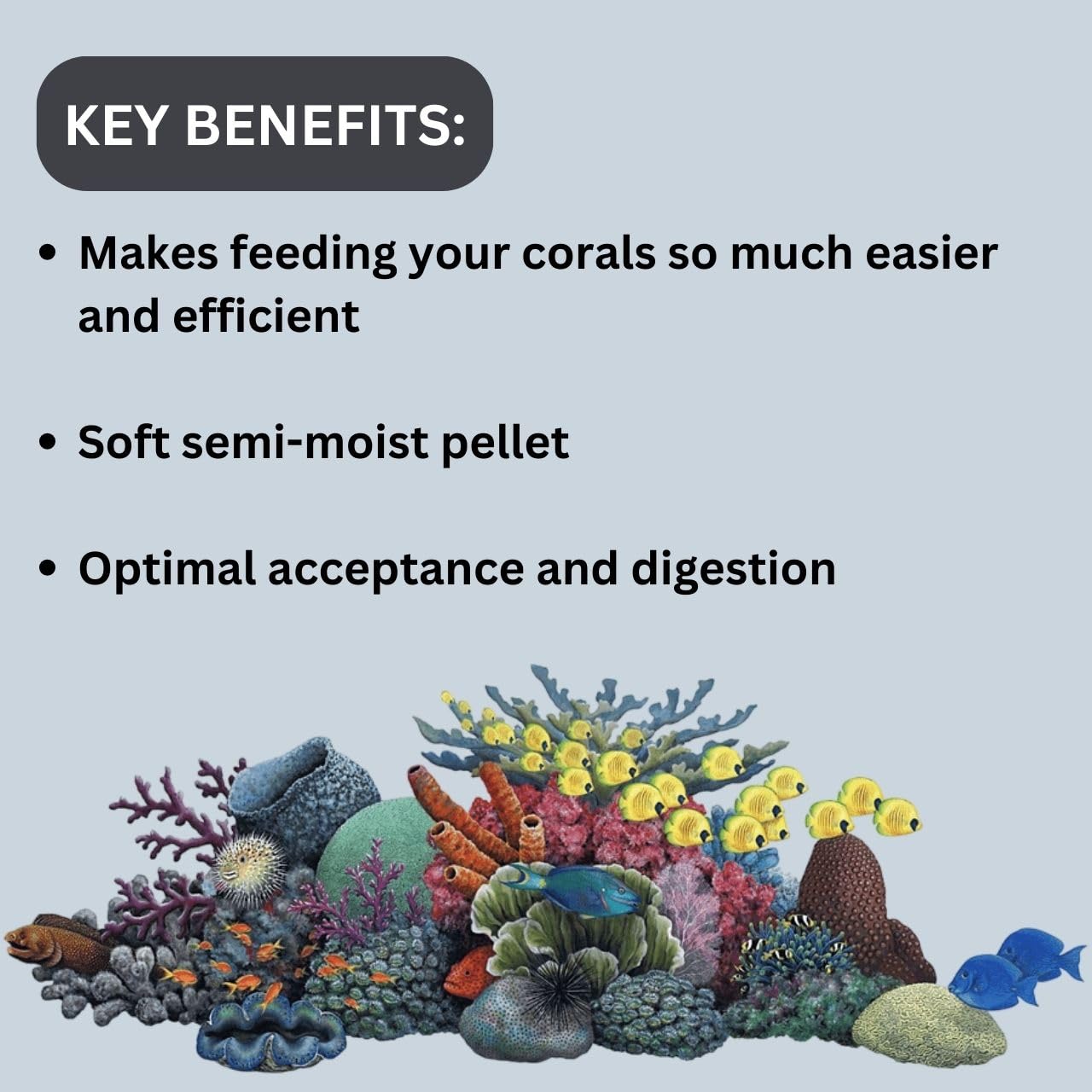 ON+ Coral Pellets (Original from Tunai Store) | The Power Food for Smaller LPS and Mushroom Corals (100gms, Small Pellets)