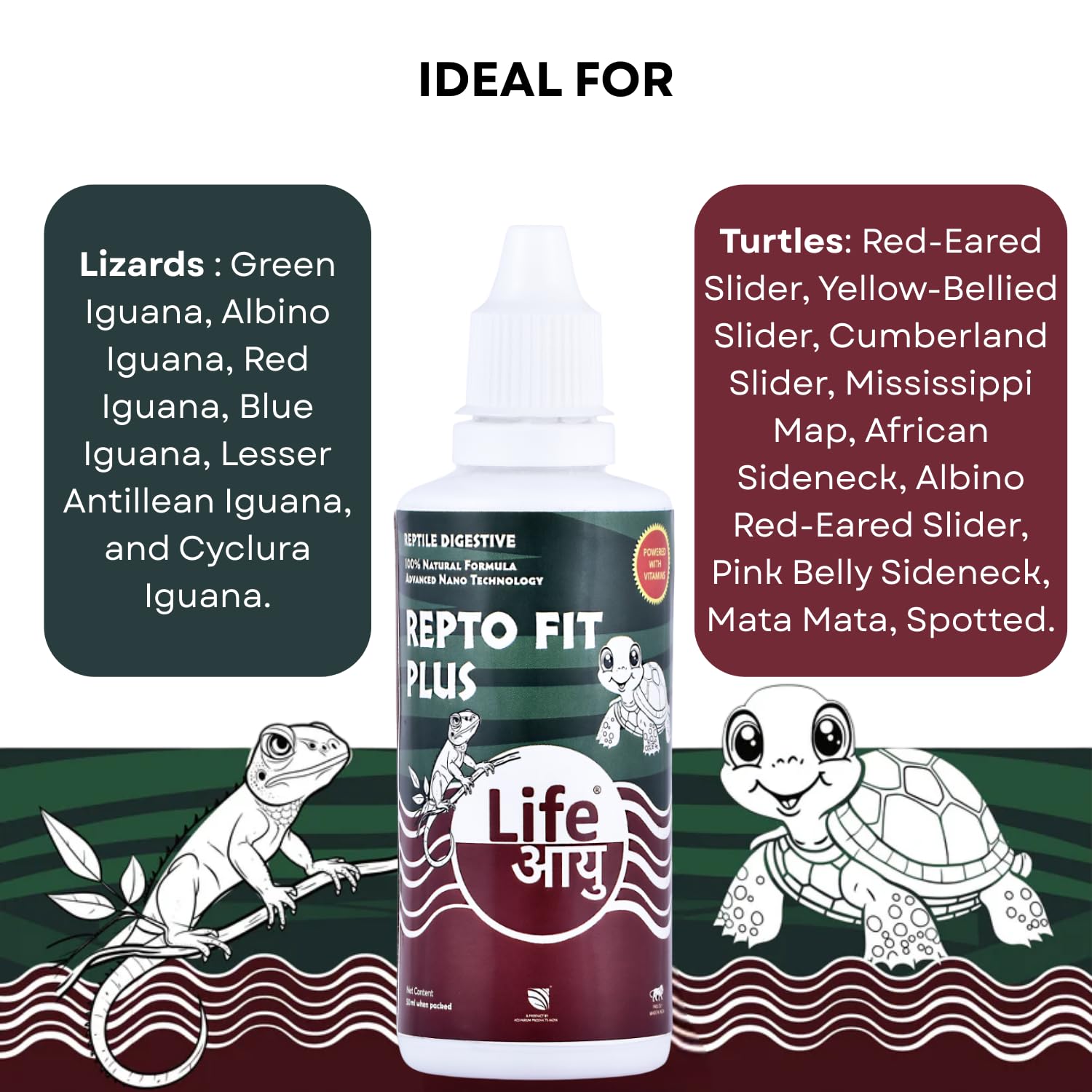 Life AAYU REPT0-Fit Plus Supplement | 100% Natural Digestive & Immunity Booster Supplement for Turtles and Lizards (20 ml)