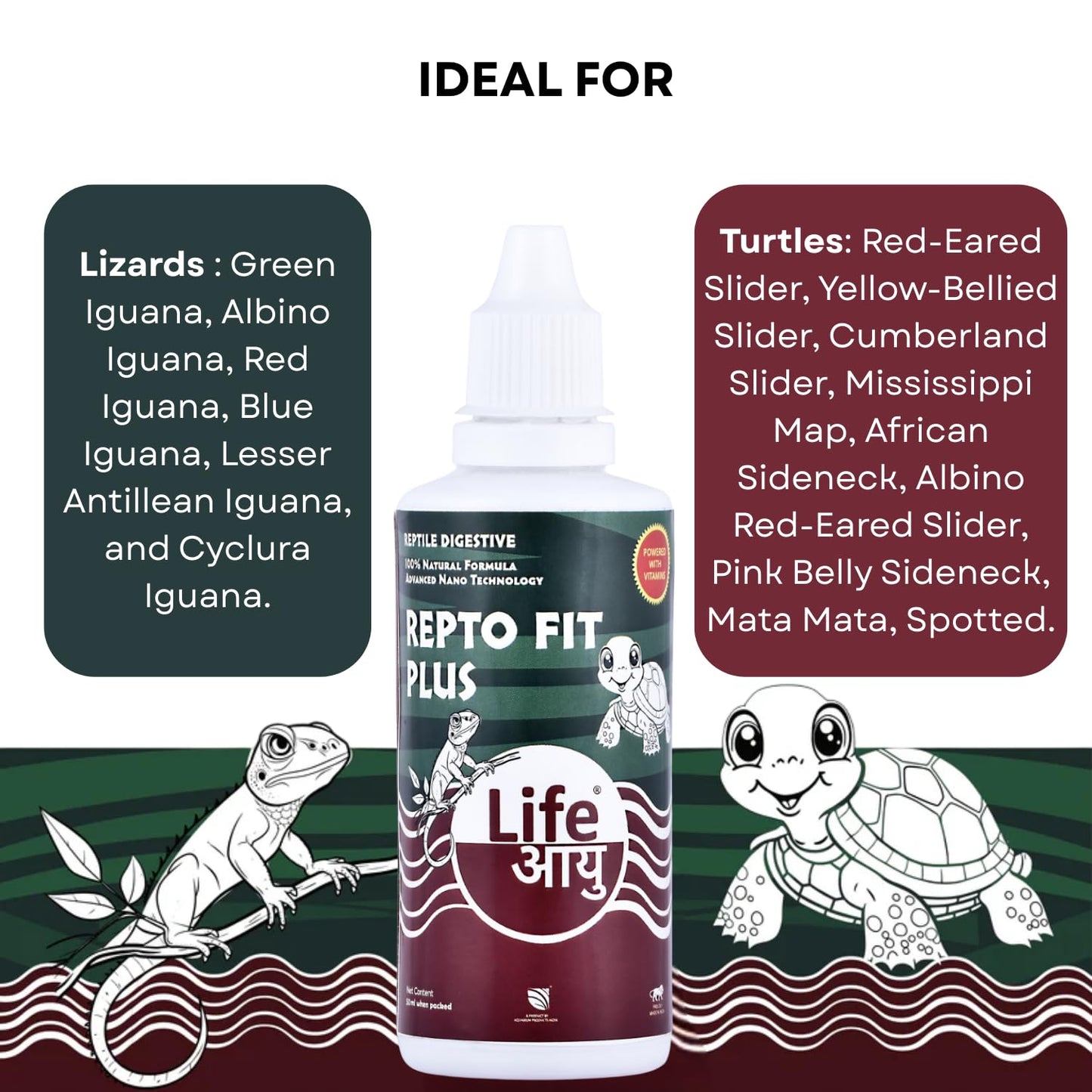 Life AAYU REPT0-Fit Plus Supplement | 100% Natural Digestive & Immunity Booster Supplement for Turtles and Lizards (50 ml)