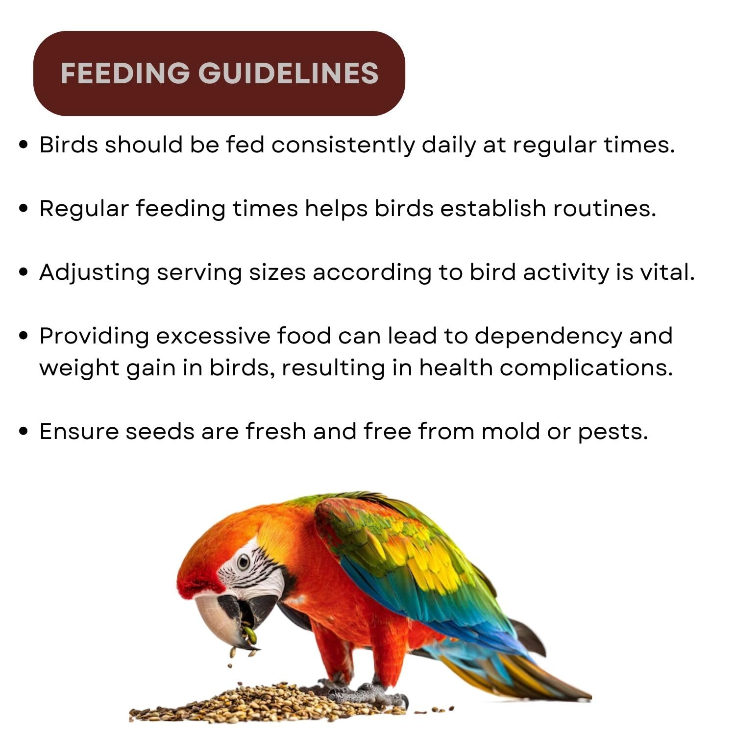 TUNAI SF+ Mix Seeds for Birds | Natural, Hand-Picked and Protein Packed Seeds (500 Gms, Parrots),All Life Stages