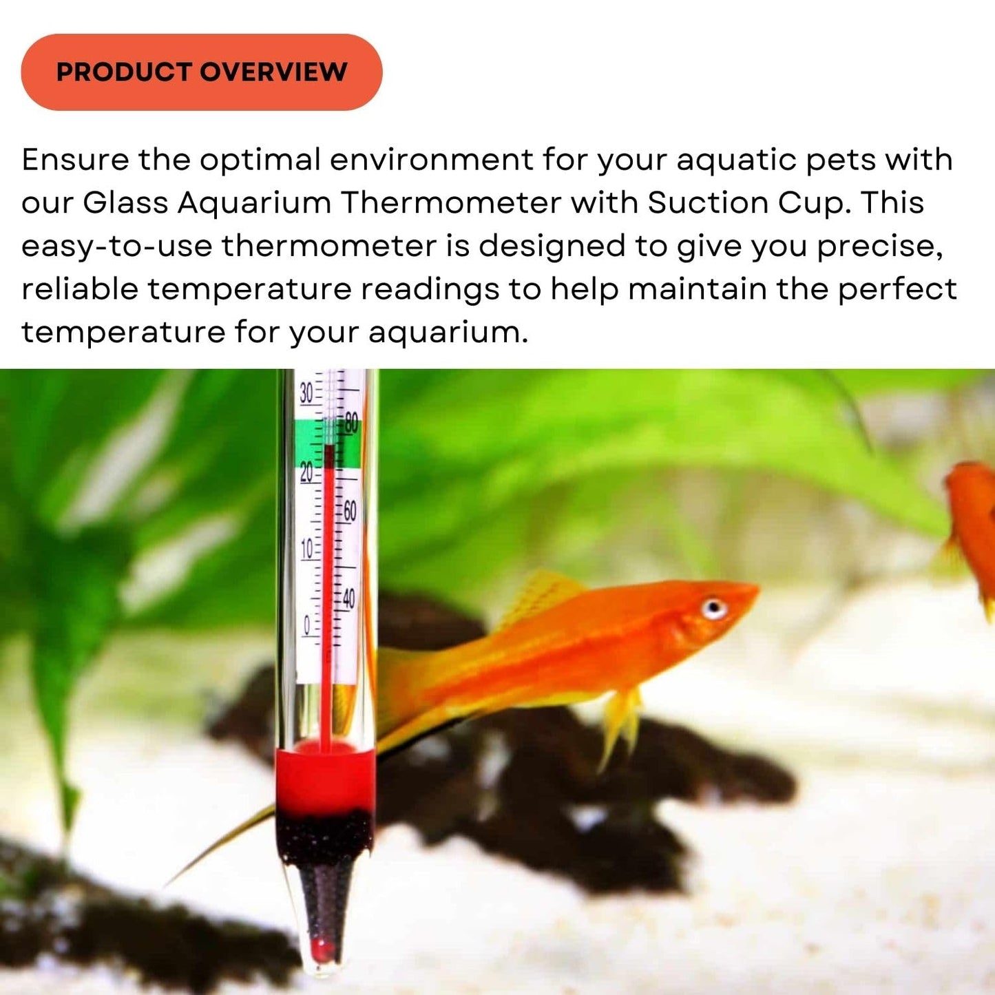 Dophin TH-002 Glass Thermometer | Easy Accurate Readings | Maintains Biological Balance | Suction Cup Attached | (Original from Tunai Store) (TH-002)