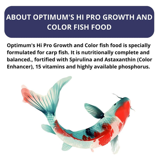 Optimum HI-PRO Growth & Color Specialist Koi Fish Food (Original from Tunai Store) (1.5kg, Medium Pellets)