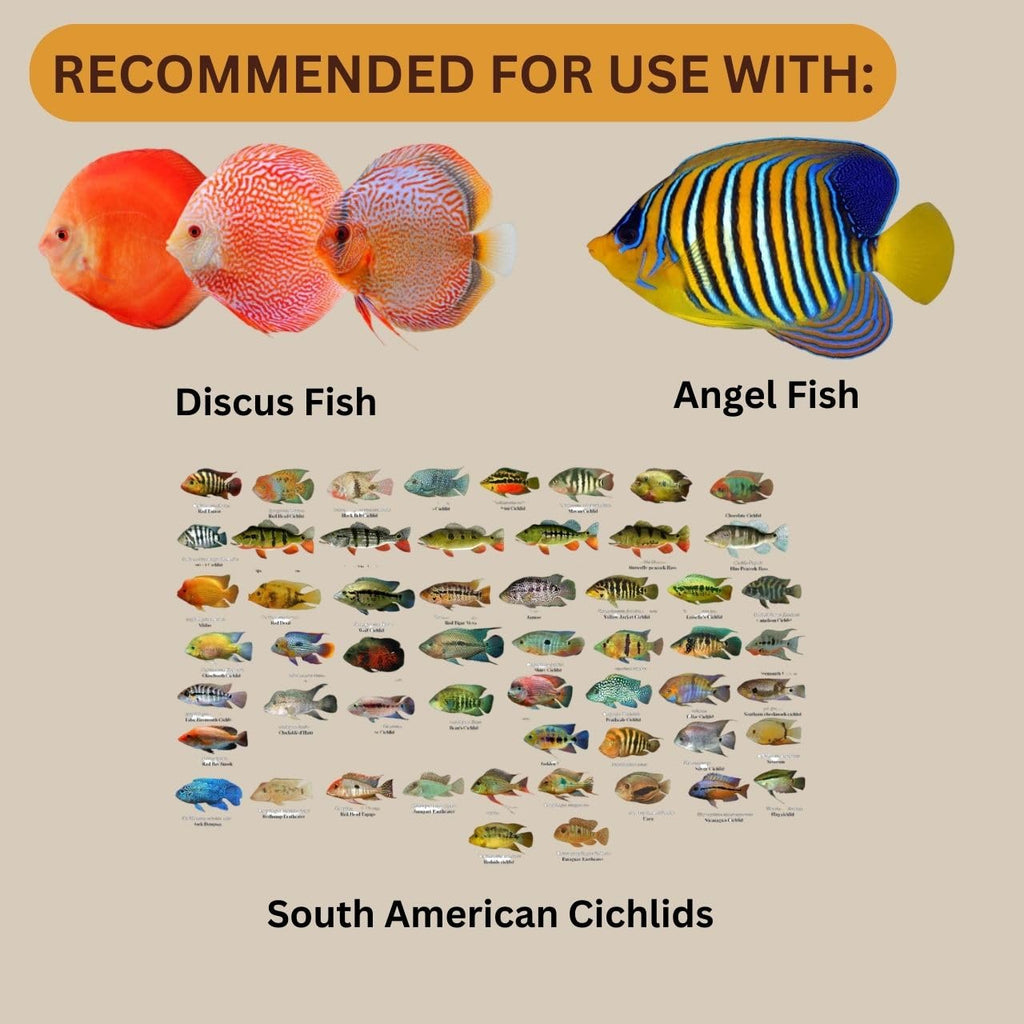 ON+ Discus Flakes Fish Food (Original from Tunai Store) | Specially Formulated Flake Food for Discus Symphysodon Spp (34gms, Flake)