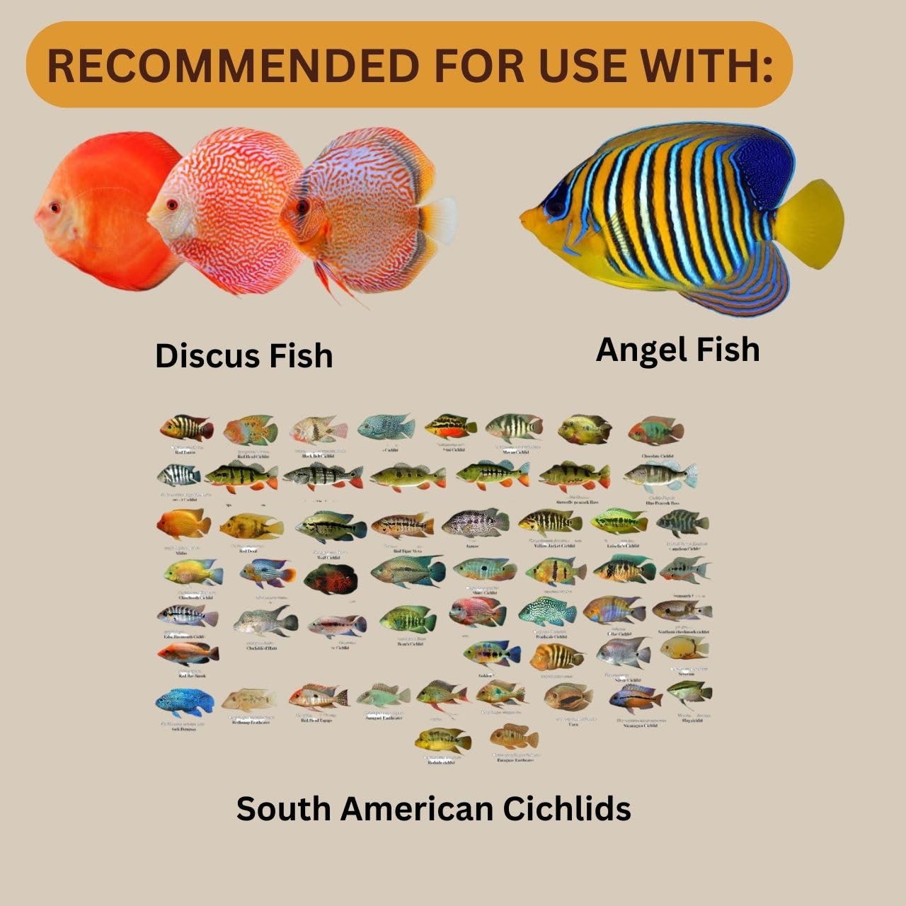 ON+ Discus Flakes Fish Food (Original from Tunai Store) | Specially Formulated Flake Food for Discus Symphysodon Spp (34gms, Flake)