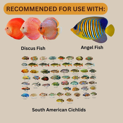 ON+ Discus Flakes Fish Food (Original from Tunai Store) | Specially Formulated Flake Food for Discus Symphysodon Spp (71gms, Flake)