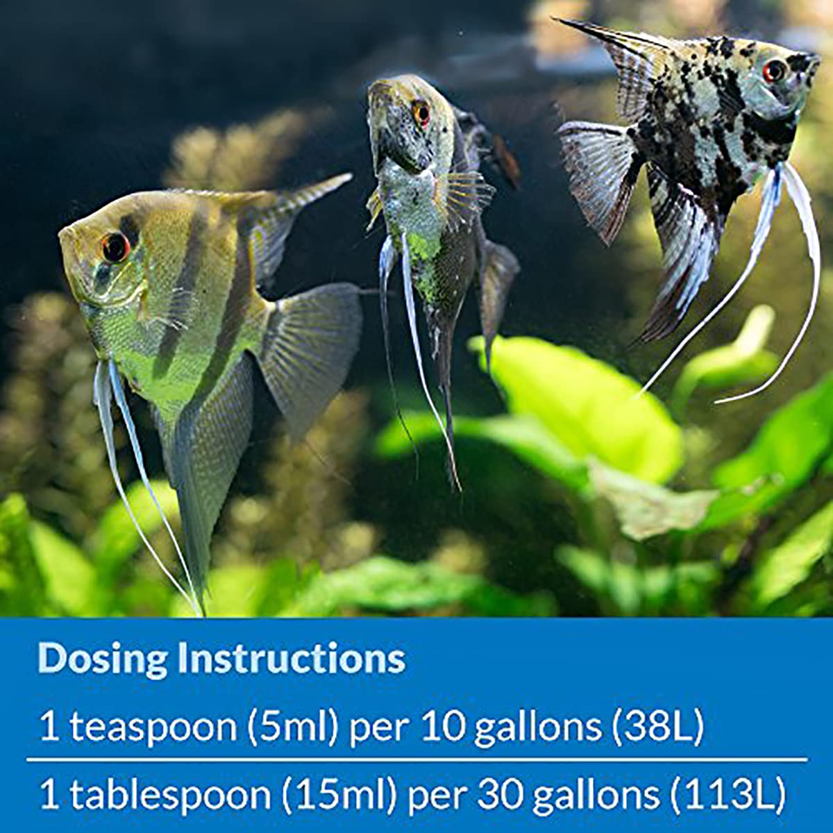 API Stress Zyme, 237 ML