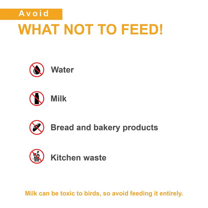 TUNAI Multi Grain Hand Feeding Formula for All Baby Birds Comes with Feeding Syringe, 900G - Powder