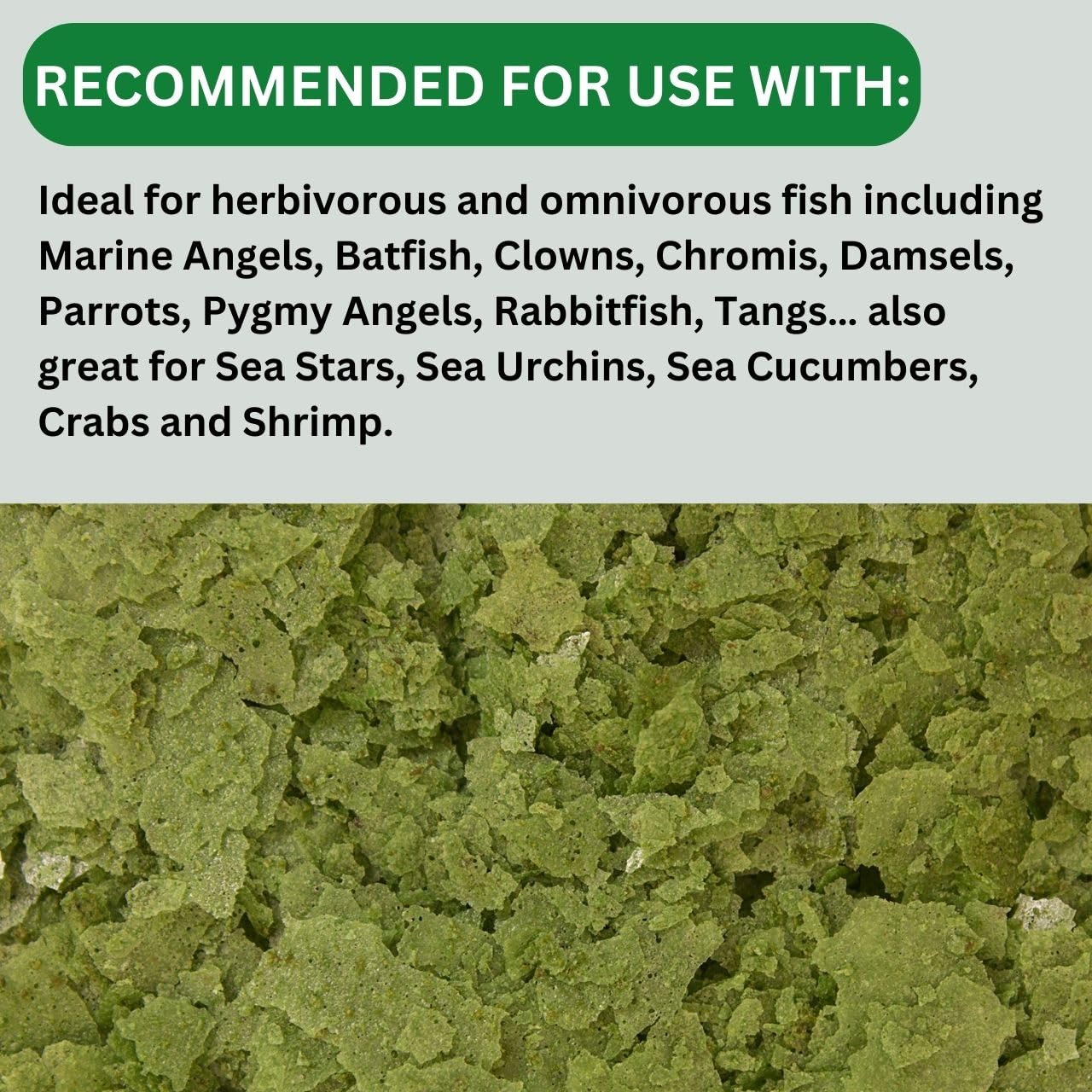 ON+ Formula Two Flakes Fish Food (Original from Tunai Store) | Premium Flake Food for All Tropical Fish (34gms, Flake)