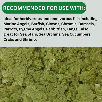 ON+ Formula Two Flakes Fish Food (Original from Tunai Store) | Premium Flake Food for All Tropical Fish (71gms, Flake)