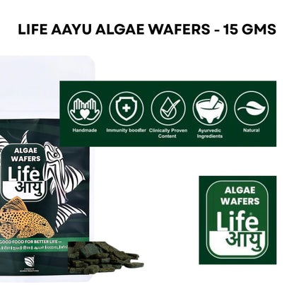 Life AAYU Algae Wafer Fish Food | Zucchini & Dandelion Formula for Plecos and Algae Eaters | Improves Digestion & Water Clarity (15 GMS)