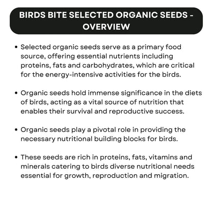 SF+ Birds Bite Organic Seeds Bird Food | Suitable for African Love Birds, Conures, Budgerigars, Finch & Macaws (400gms, Selected Organic Seeds)