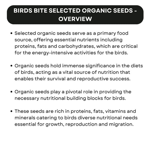 SF+ Birds Bite Organic Seeds Bird Food | Suitable for African Love Birds, Conures, Budgerigars, Finch & Macaws (400gms, Selected Organic Seeds)