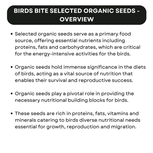 SF+ Birds Bite Organic Seeds Bird Food | Suitable for African Love Birds, Conures, Budgerigars, Finch & Macaws (400gms, Selected Organic Seeds)
