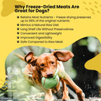 Tunai Premium Freeze Dried Treats for Adult Dogs & Weaning Puppies, 30g (Mini, Chicken Liver)