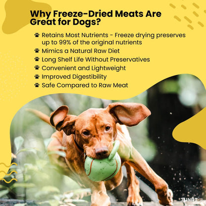 Tunai Premium Freeze Dried Treats for Adult Dogs & Weaning Puppies, 30g (Mini, Chicken Liver)