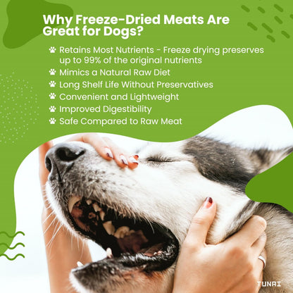 Tunai Premium Freeze Dried Treats for Adult Dogs & Weaning Puppies, 30g (Mini, Salmon Cubes)