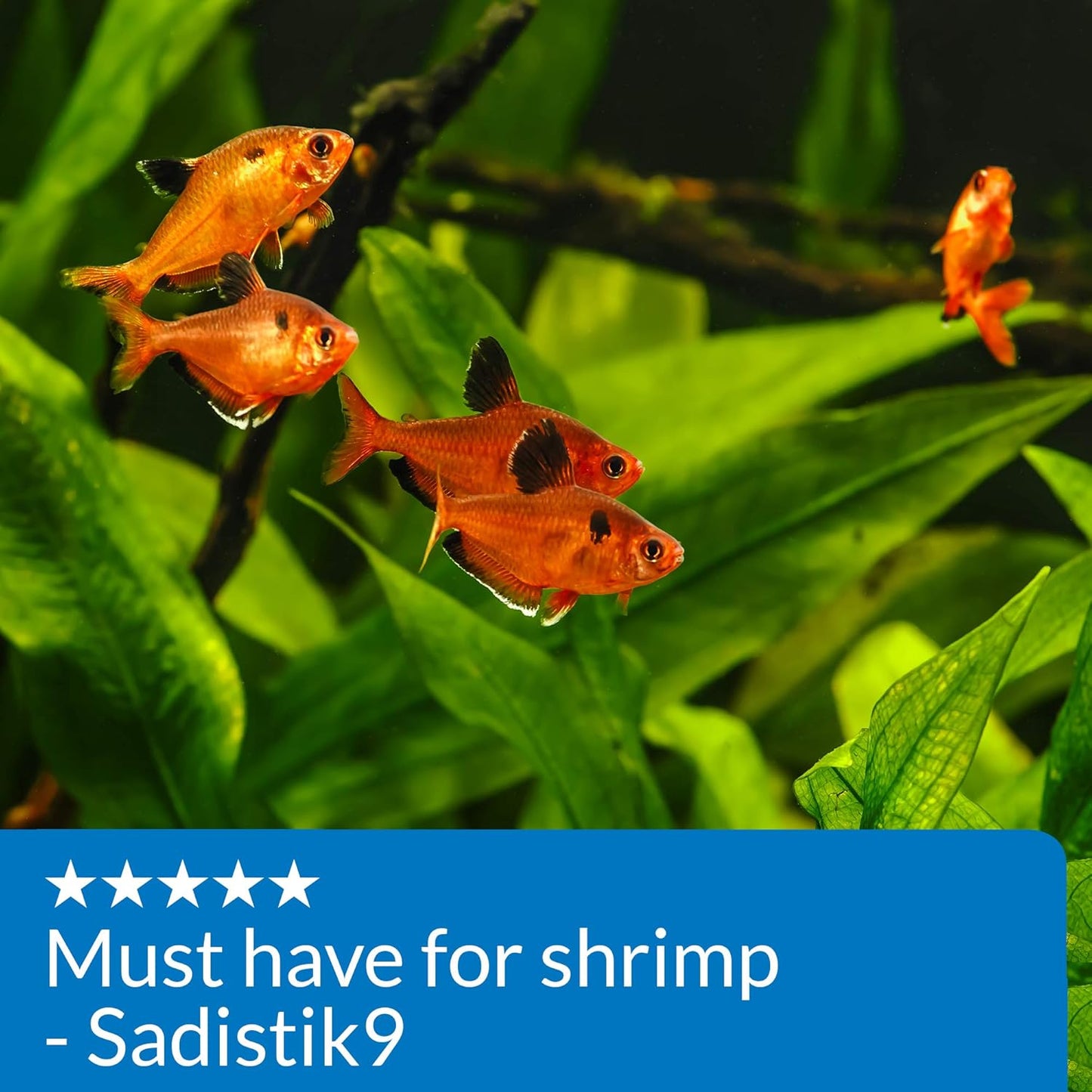 API Copper Test Kit - 90-Test Aquarium Water Analysis