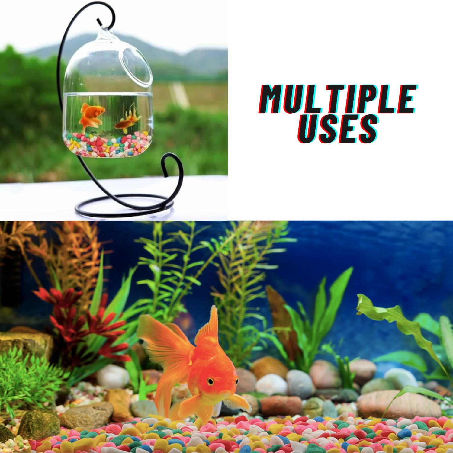 TUNAI Pebble Stones Substrate for Fish Tank, Aquarium, Terrarium, Paludarium (1KG) for Office and Home Decor, Plants and Other Purpose (Multi - Color, Standard)