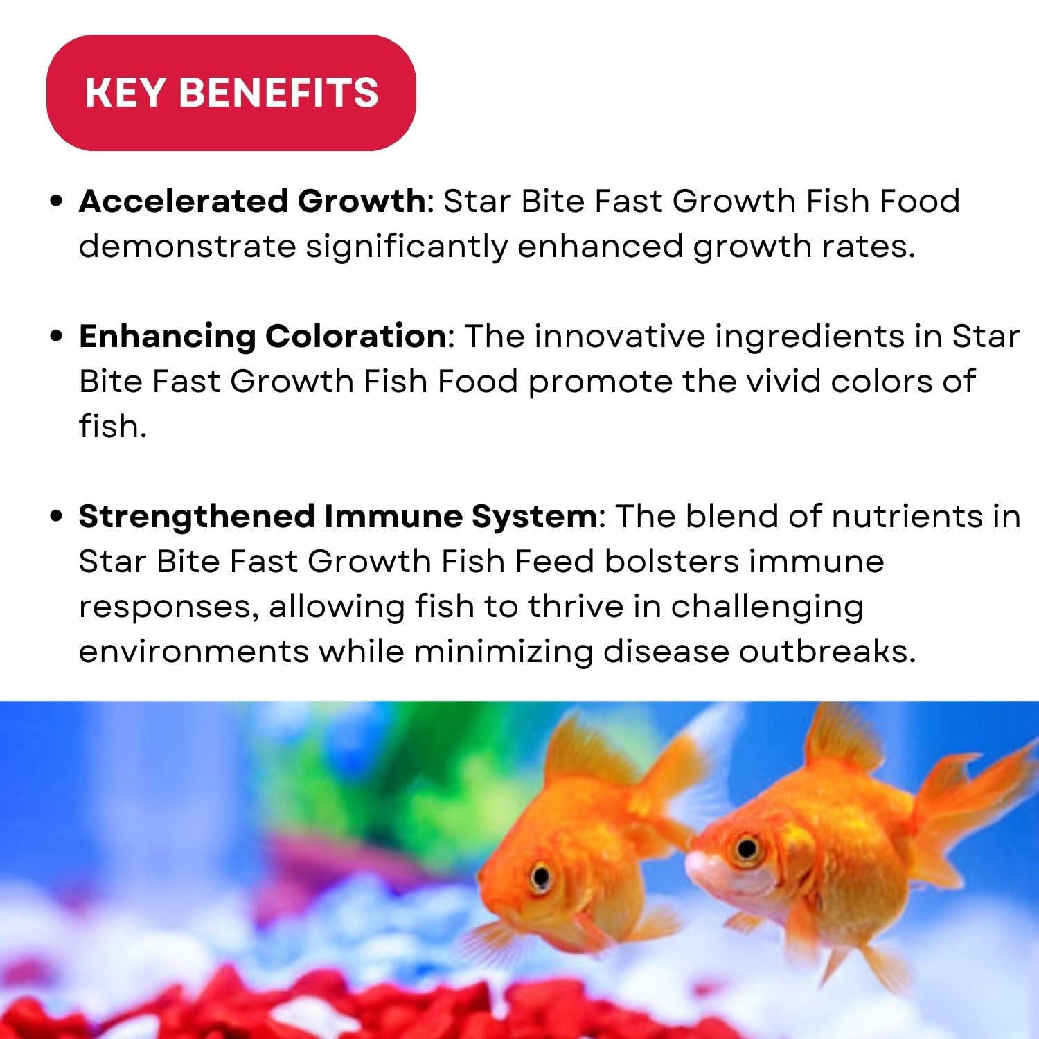 SF+ Star Bite Fish Food | Super Saver Pack (400g, Fast Growth)