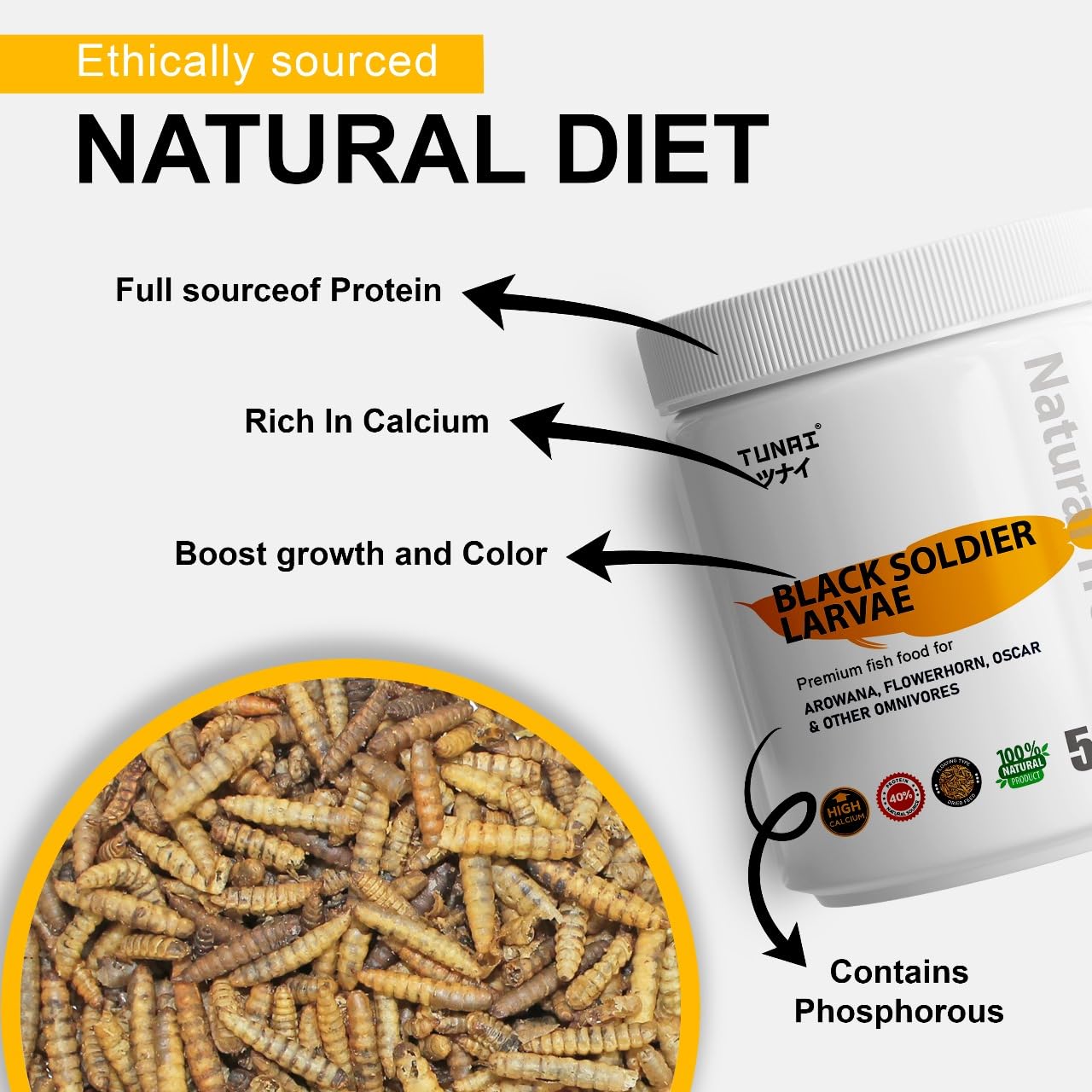 TUNAI Black Soldier Fly Larvae Bsfl |50G| 60X More Calcium Than Meal Worms, 40% Protein Rich Fish Food for Oscar, Arowana, Flowerhorn, Adult Turtle, Tortoise, 1 Count