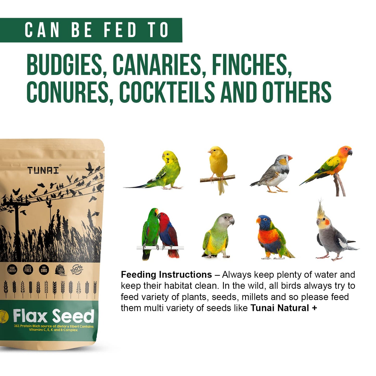TUNAI Flax Seeds Bird Feed |450G|Essential Bird Food For Canaries, Finches, Budgies, Parakeets, Parrotlets, Conures, Eclectus, Senegals, Cockatiels,& Parrots, All Life Stages