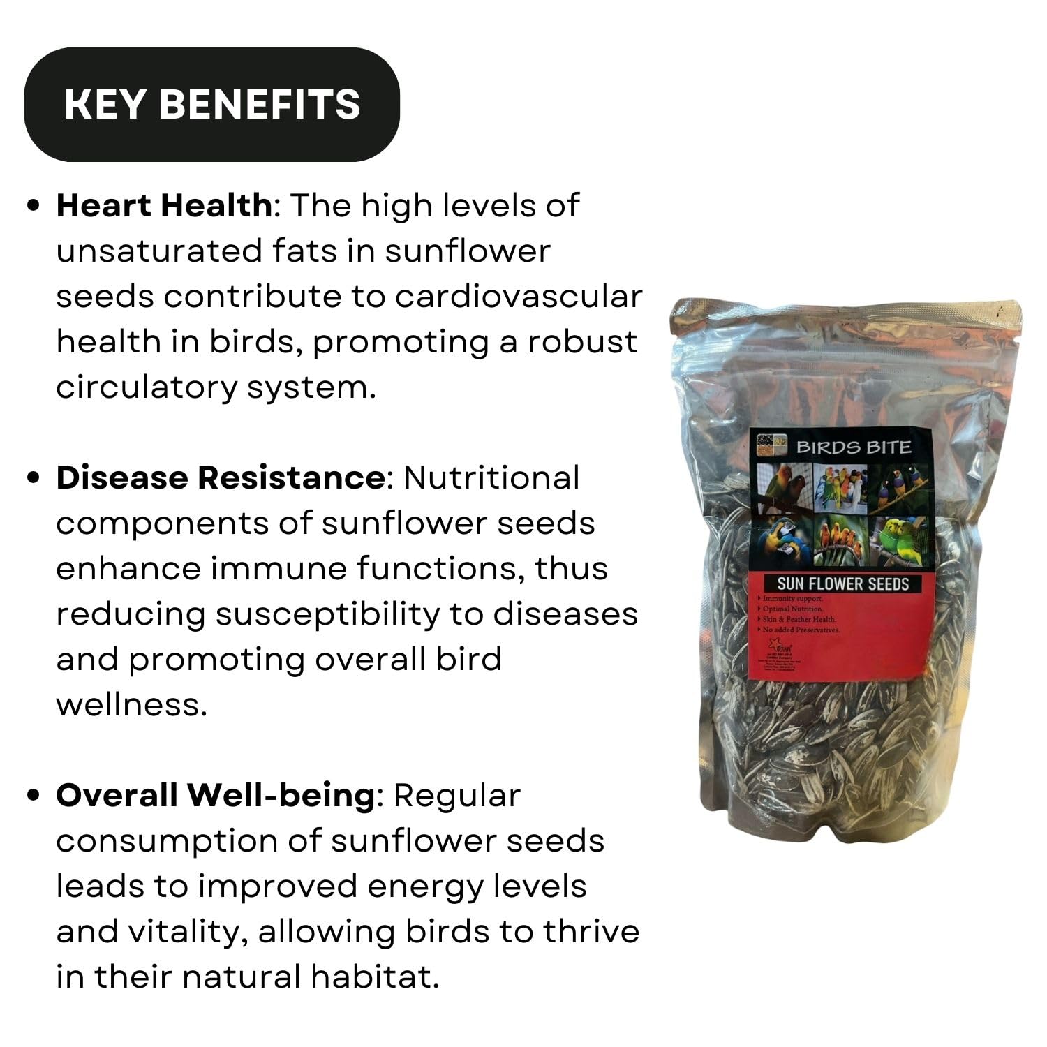 SF+ Birds Bite Sunflower Seeds Bird Foods (Pouch) | Suitable for African Love Birds, Love Birds, Conures, Budgerigar, Finch and Macaws (200gms, Sunflower Seeds)
