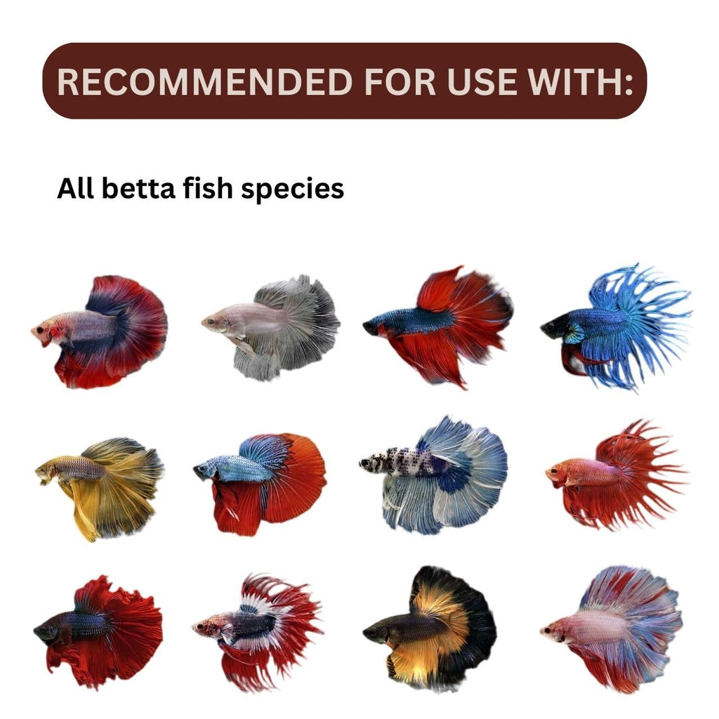 ON+ Atison's Betta SPA Water Conditioner (Original from Tunai Store) | 125mL | Promotes Health and Wellness of Betta Fishes