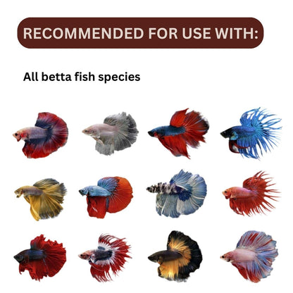 ON+ Atison's Betta SPA Water Conditioner (Original from Tunai Store) | 125mL | Promotes Health and Wellness of Betta Fishes