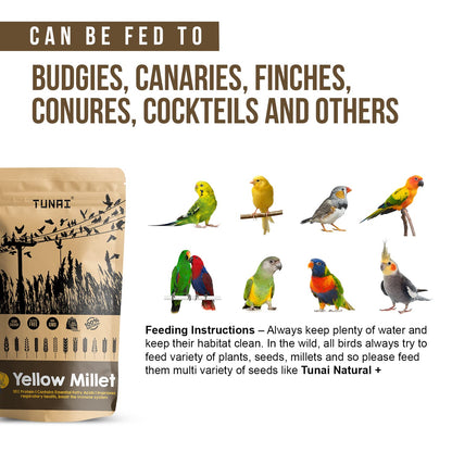 TUNAI Yellow Millets Bird Feed |450G|Essential Bird Food For Canaries, Finches, Budgies, Parakeets, Parrotlets, Conures, Eclectus, Senegals, Parrots, & Cockatiels, For All Life Stages