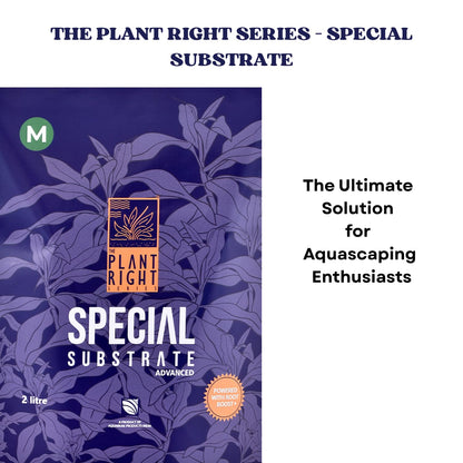 The Plant Right Series Special Substrate | Vibrant Aquatic Plants | The Ultimate Solution for Aquascaping Enthusiasts (2 L - Medium)