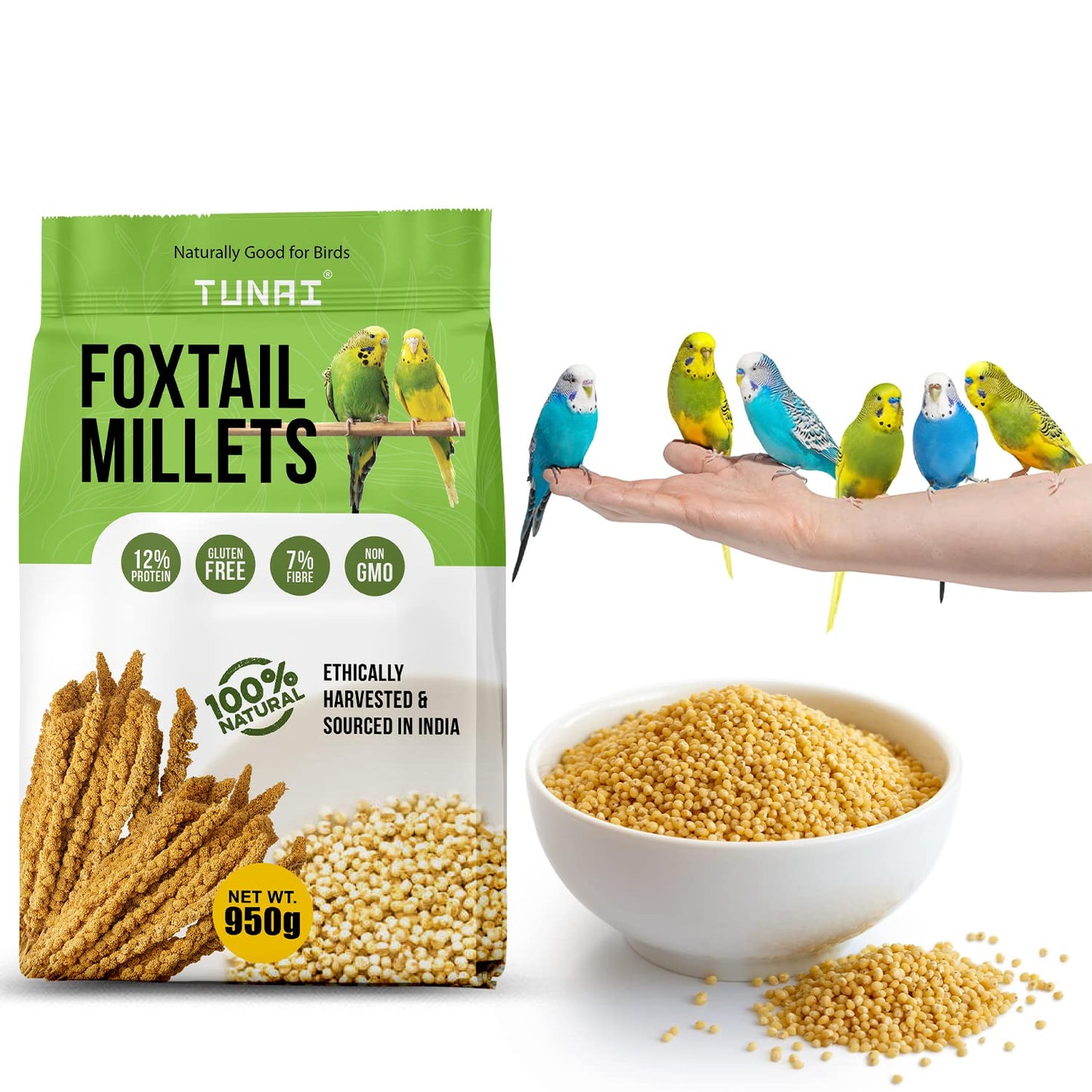 Tunai Foxtail Kangini Millets|950g|Superior Bird Feed For High Protein, Regulating Digestion, Absorption Of Minerals, High Fiber Millets Perfect Bird Food For lovebirds, canaries, cockatiels and Finches