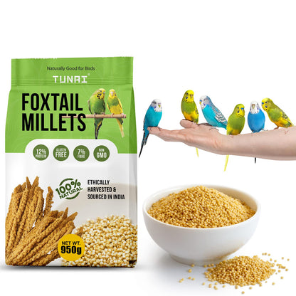 Tunai Foxtail Kangini Millets|950g|Superior Bird Feed For High Protein, Regulating Digestion, Absorption Of Minerals, High Fiber Millets Perfect Bird Food For lovebirds, canaries, cockatiels and Finches