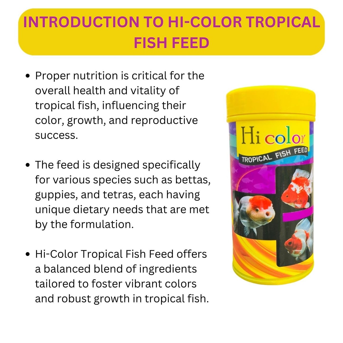 SF+ Hi-Color Tropical Fish Food | Overall Health and Vitality of Tropical Fishes | Originally from TUNAI Store (100gms, Pellets)