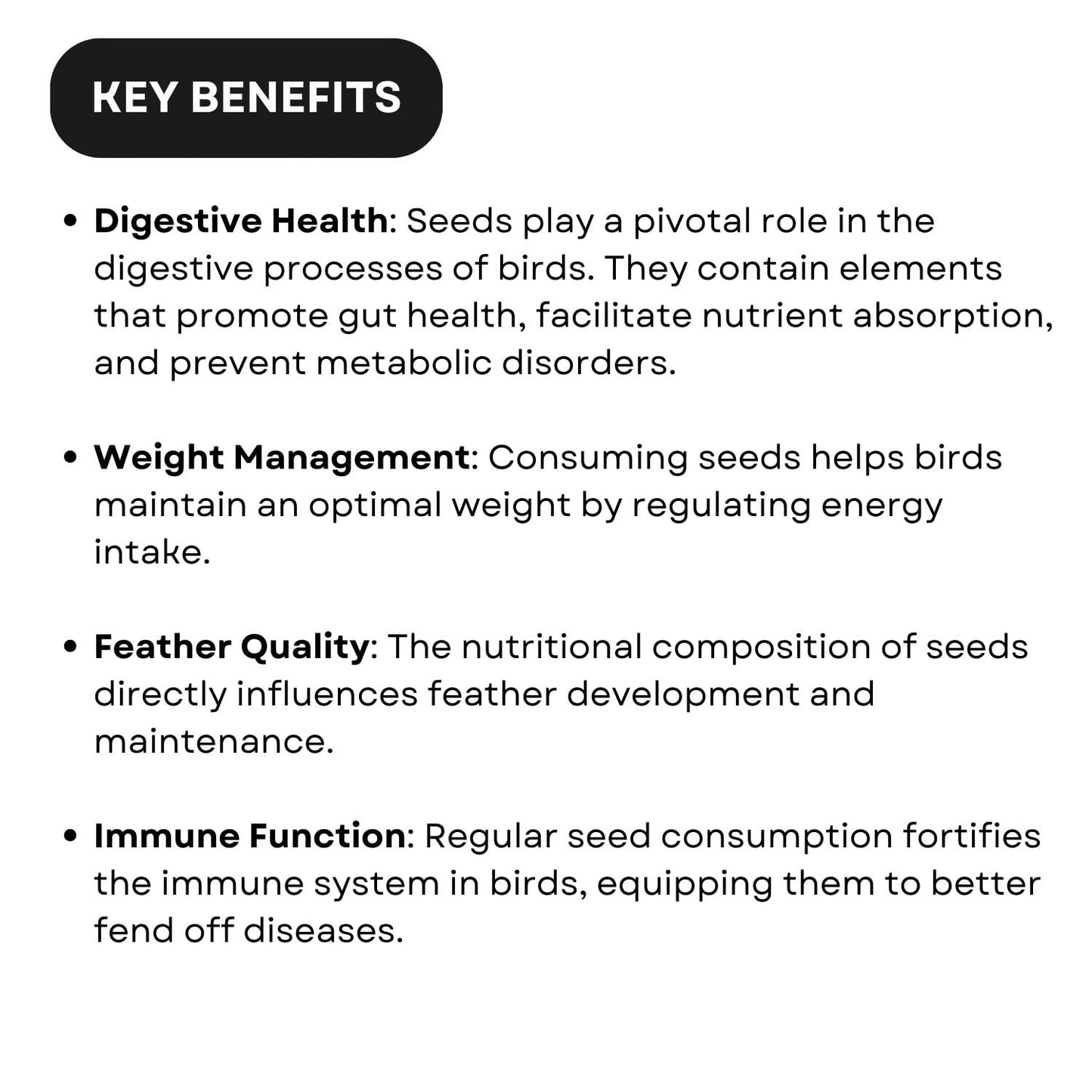 SF+ Birds Bite Organic Seeds Bird Food | Suitable for African Love Birds, Conures, Budgerigars, Finch & Macaws (400gms, Selected Organic Seeds)