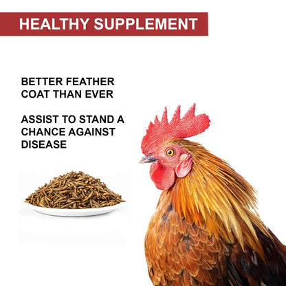 Tunai Black Soldier Fly Larvae | 500g | 60X Calcium, Fortified with 40% Protein Treat for All Adult Chicken and Poultry Birds for Better Egg Shell Health and Growth