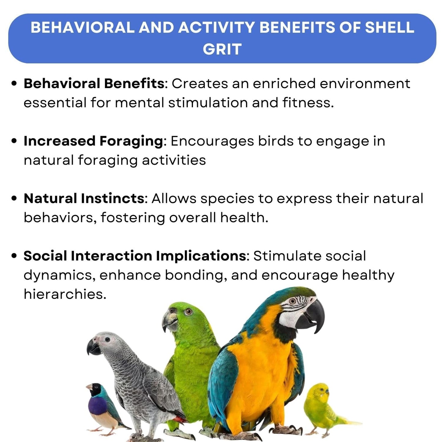 SF+ Calci-min Natural Shell Grit Bird Supplement | Rich Calcium Source for Birds' (1 Kg)