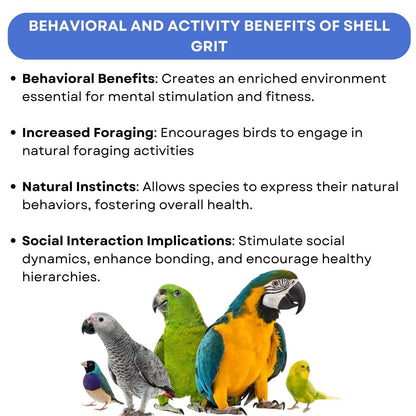SF+ Calci-min Natural Shell Grit Bird Supplement | Rich Calcium Source for Birds' (1 Kg)