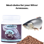 Life AAYU Silver Arowana Aquarium Fish Food | Designed to Improve Muscle, Bone, and Overall Body Strength | Best for Silver Arowanas (100 GMS)