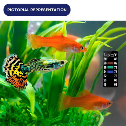 Dophin TH-007 Digital Thermometer for Aquarium Fish Tank | Self Adhesive Sticker | Easy Accurate Readings | (Original from Tunai Store) (TH-007)