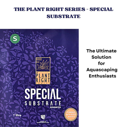 The Plant Right Series Special Substrate | Vibrant Aquatic Plants | The Ultimate Solution for Aquascaping Enthusiasts (1 L - Small)