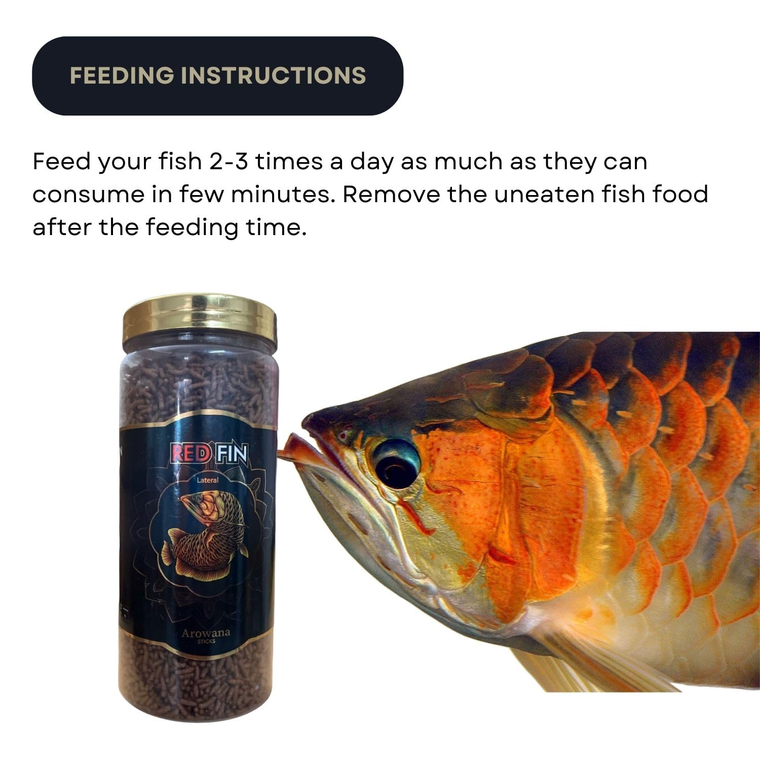 TUNAI SF+ Red Fin Baby Fish Arowana Food Sticks | Supports Muscle Growth, Immune Function, and Vitality (380 Gms, Small Pellets)