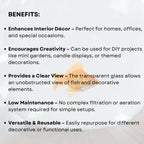 Transparent 4-inch Fish Bowl with Out Neck Collar, Suitable for Small Fish, Plants | Optimum Fish Tank Choice for Office & Home Decor