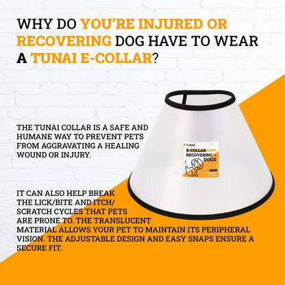 Tunai Elizabeth Dog Collar After Surgery Collar, Protective and Recovery Collar for Over 12 Months Old Small Breed Adult Dogs Like Pug, Shih TZU, Lhasa APSO, Dachshund, Size 4