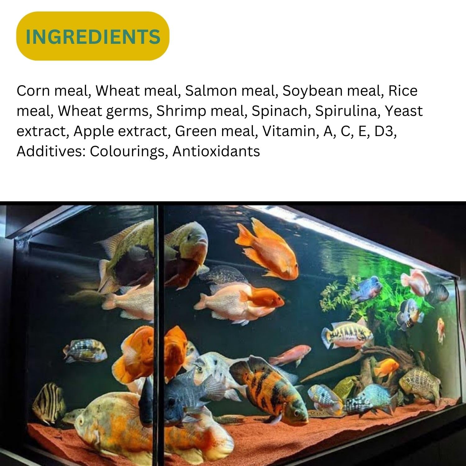 SF+ XING All Fish Monster Fish Food Fish Meal for All Adult Fishes | Originally from TUNAI Store (110gms, Pellets)