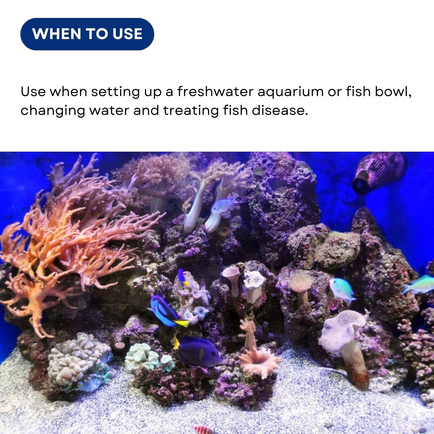 SF+ Ocean Care Tropical Aquarium Salt | Designed for Tropical Freshwater Aquariums | (1 Kg)